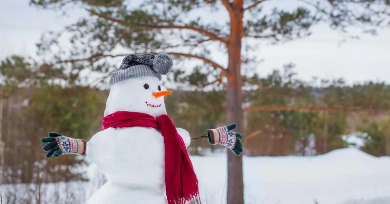 Когда жителям Шымкента ждать снег