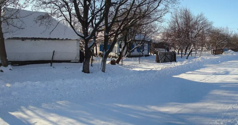 Дочь убитых пенсионеров из Атырауской области объявили в розыск