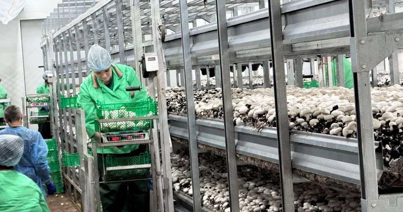 От филармонии до промцеха