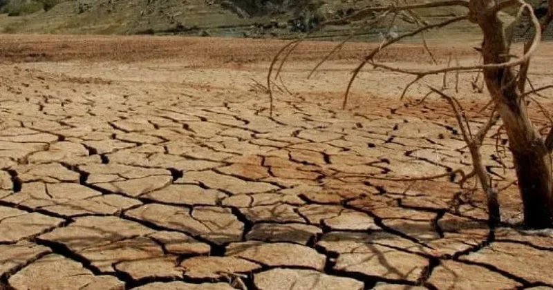 Еліміздің қай өңірлерінде құрғақшылық қаупі бар? Министр жауап берді