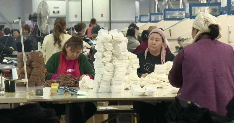 Шымкент шұлығы шетелге экспортталады