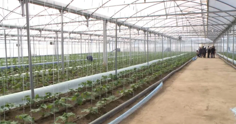 Суды заңсыз пайдалануға қарсы жұмыс тобы құрылады