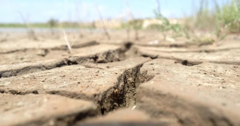 Объективная реальность : жителей некоторых регионов Казахстана предупредили о рисках засухи