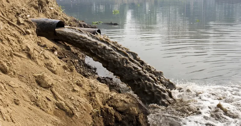 Коммунальное госпредприятие оштрафовали на 54 млн тенге за загрязнение окружающей среды в Жамбылской области