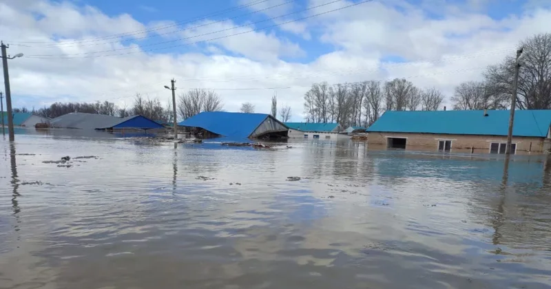 Водный щит для севера