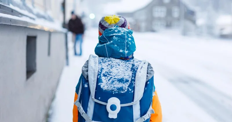 Учащихся 0 9 классов школ Астаны перевели на дистанционку