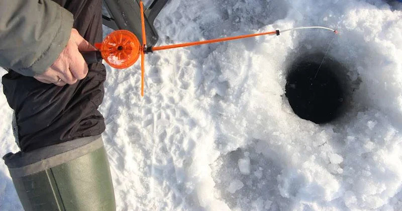 Миллионные штрафы рыбакам браконьерам