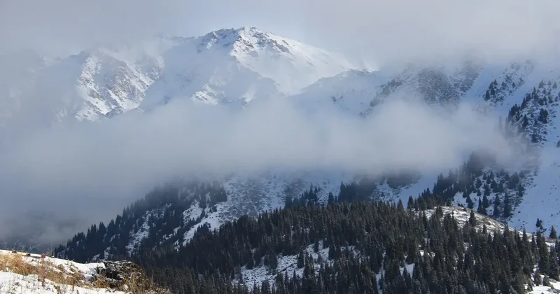 Гололёд в городе и угроза схода лавин в горах: спасатели обратились к алматинцам