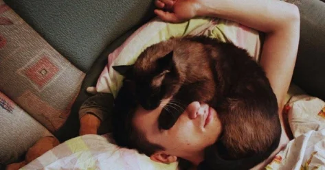 Чем опасен сон с котом эксперты