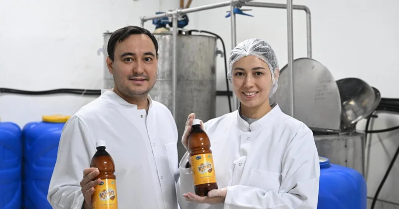 Жетісудың бал қымызы