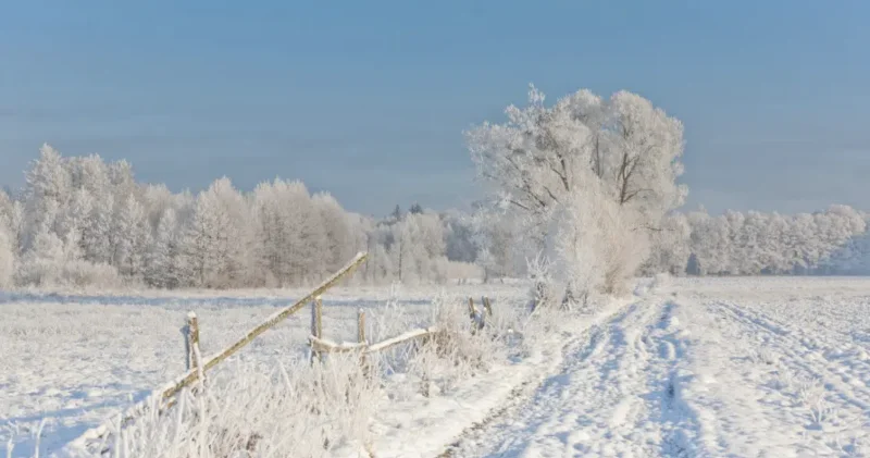 Қазақстанды қалың қар жауады, бірақ аяз бәсеңдейді