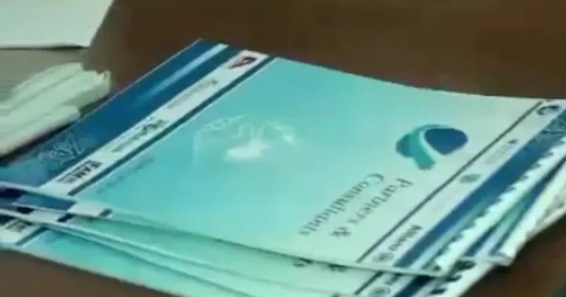 Partners & Consultants алаяқтық жобасынан 270 адам зардап шекті