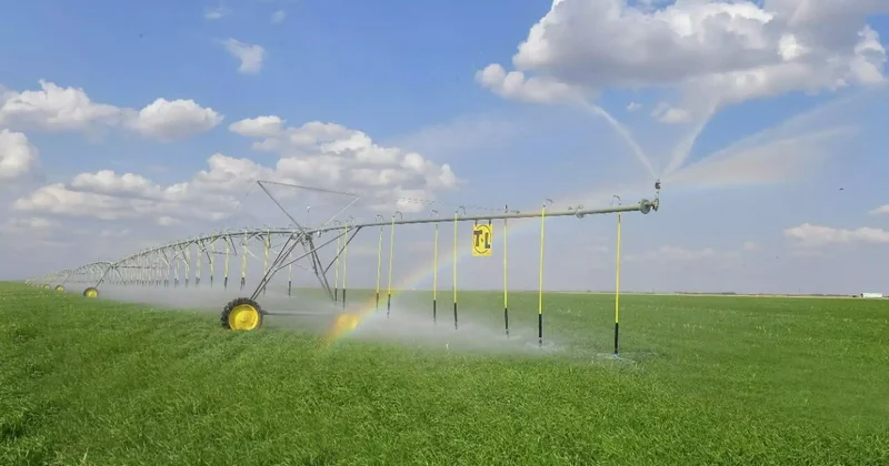 Түркістан облысында 8 мың гектарға жуық алқапта су үнемдеу технологиясы енгізіледі