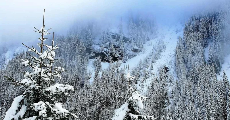 Дождь со снегом и туман ожидаются в Алматы на выходных