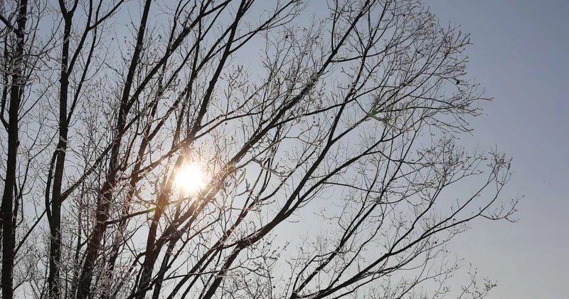 От метелей к весеннему теплу: прогноз погоды на выходные дни в Казахстане