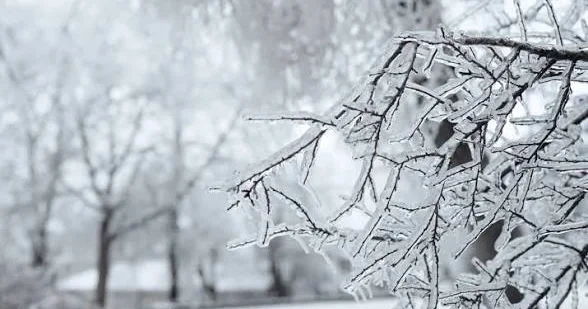 Елімізде 14 наурызда жауын шашын мен қалың қар күтіледі