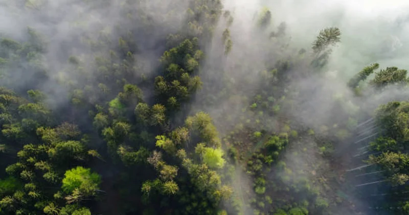 Республика бойынша тұман болуы ықтимал