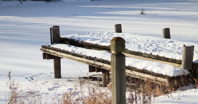 Рыбак поймал гигантского окуня и побил 44 летний рекорд