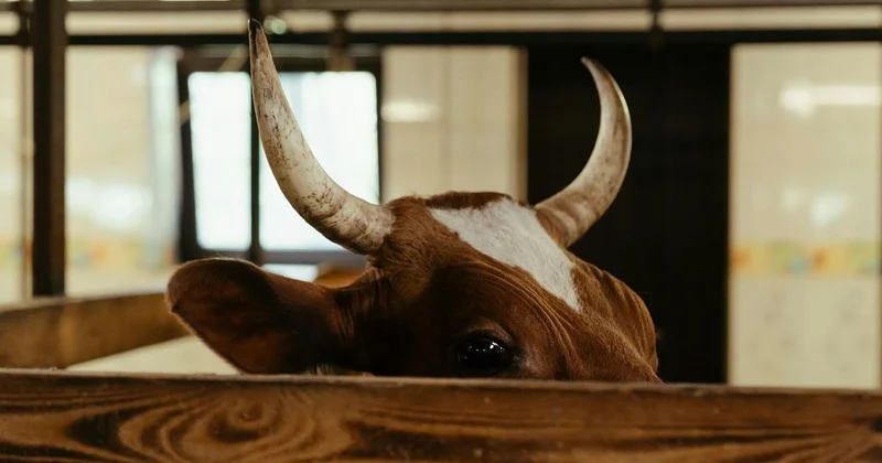 Осужденная казахстанка вернула более 20 млн тенге