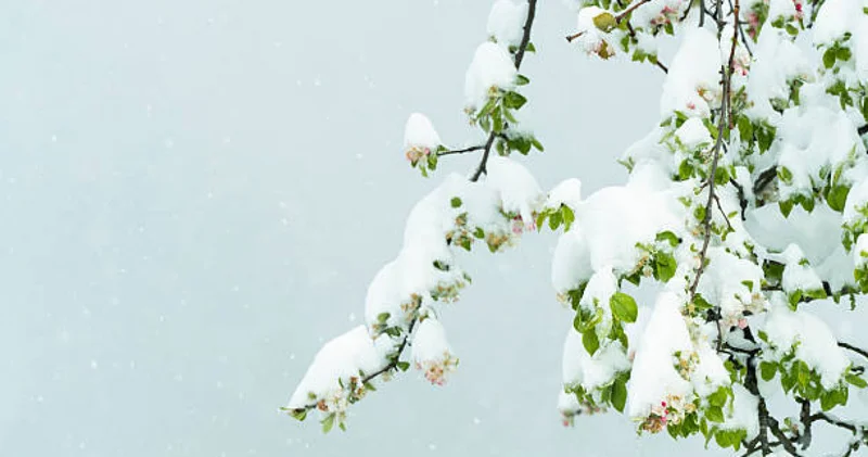 Солтүстік және шығыс өңірлерде ең күрделі ауа райы жағдайы болжанды