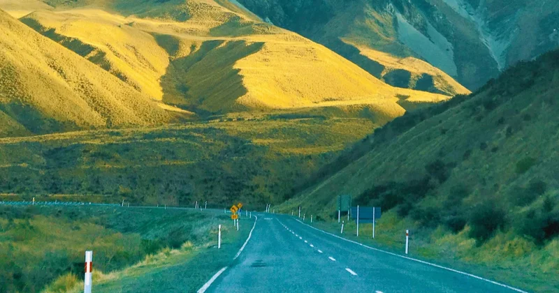 Жаңа Зеландияда автокөліктерді пайдалануға шектеу енгізілмек