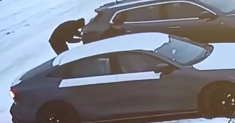 Машину угнали из автосалона в Алматинской области: подозреваемых задержали (видео)