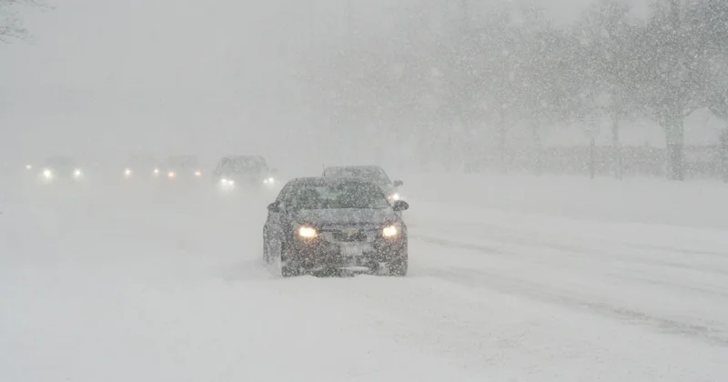 Видимость нулевая : метель парализовала жизнь на севере и в центре Казахстана (видео)