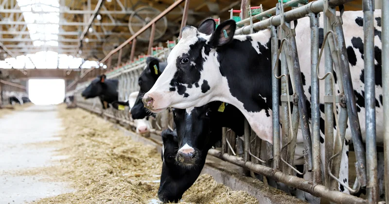 Срок за приписки