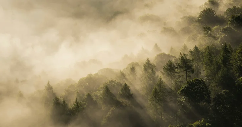 14 сәуір, сейсенбіде Қазақстан бойынша найзағай ойнап, қалың тұман түседі