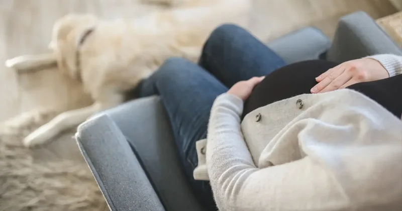 США усиливают борьбу с родильным туризмом