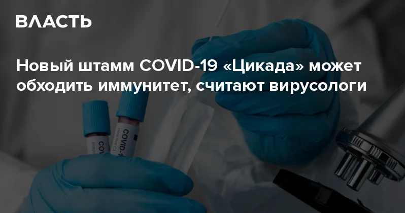 Новый штамм COVID 19 Цикада может обходить иммунитет, считают вирусологи Аналитический интернет журнал Власть