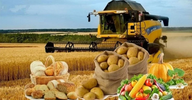 Азық түлік өндірісі 11,9% ға артып, 665 млрд теңгеден асты