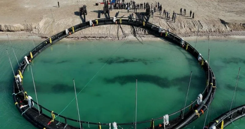 Промысел без особых границ