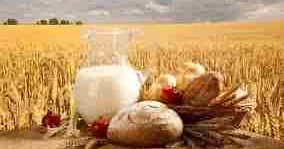 Биыл азық түлік өндіру көлемі 12 пайызға жуықтады АШМ