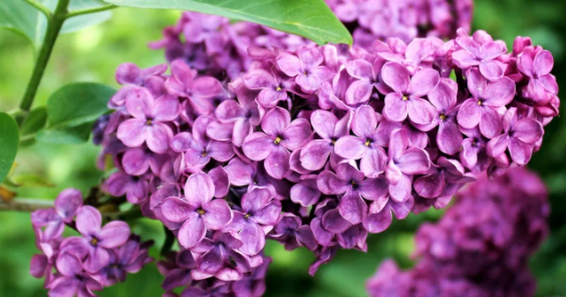 Когда потеплеет в Алматы, рассказали синоптики