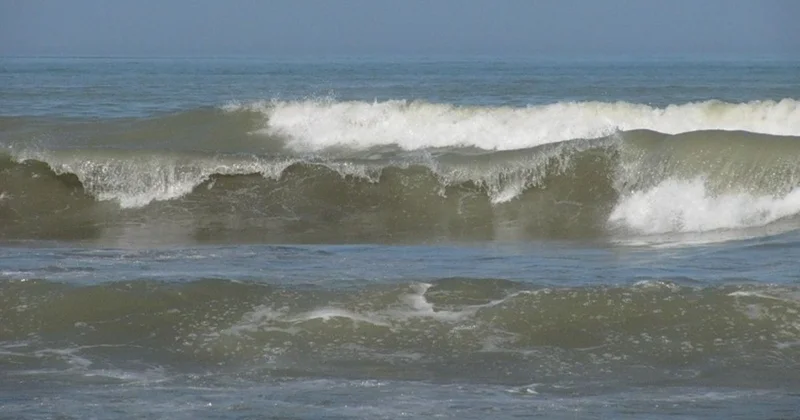 Каспийді құтқаруға 20 миллион доллардан астам қаражат бөлінеді