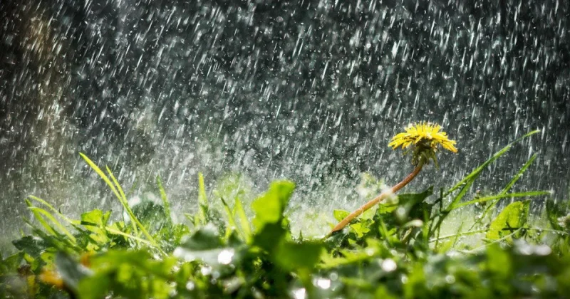 Ел аумағында ауа райы құбылмалы болады