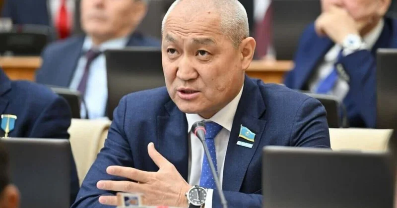 Содержание собаки в приюте дороже питания ребенка: мажилисмен пояснил норму о 5 дневном пребывании в приюте