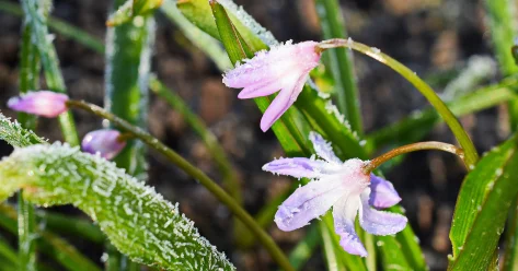 Минусовая температура ожидается в ночное время на востоке Казахстана