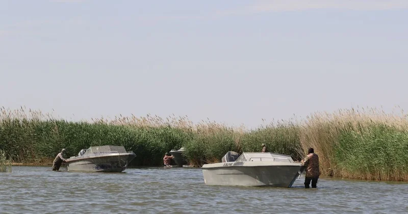 Бекіре акциясының алғашқы күндерінде 230 дан астам заңбұзушылық анықталды