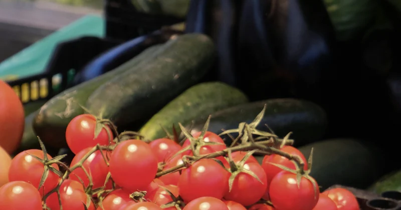 Казахстанские фермеры выходят в ретейл: в стране станет больше магазинов с прямыми ценами