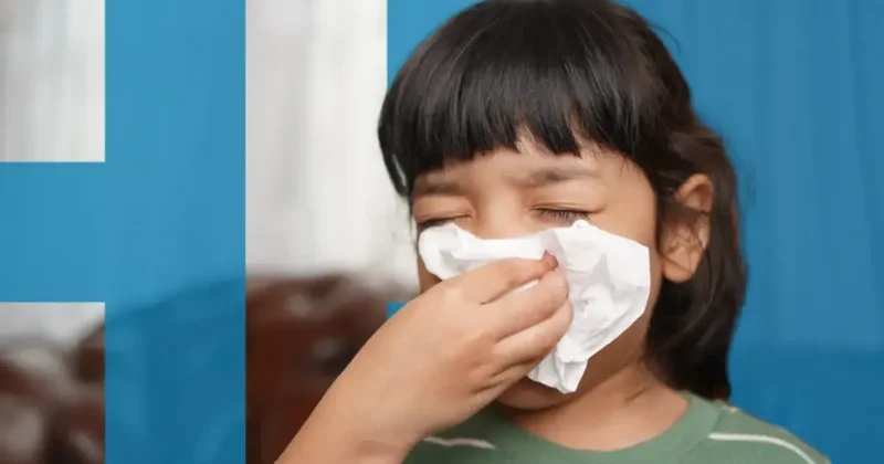 Цикада новый вариант COVID‑19: есть ли повод для беспокойства?