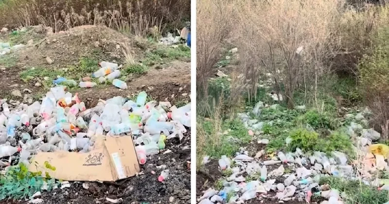 Природа под угрозой: свалки на Алтын Эмеле возмутили экологов