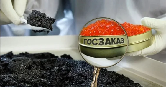Икра на 147 миллионов: незаконный тендер осетрового завода отменили в Атырау