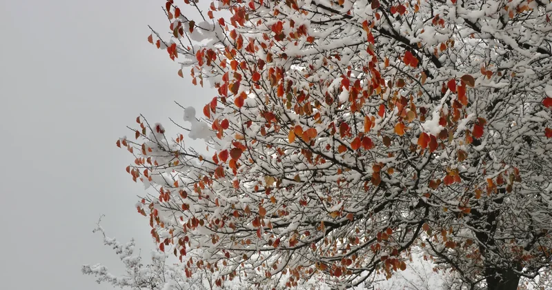 Өрт қаупі, нөсер жаңбыр және қар: 14 cәуірде ауа райы қандай болады