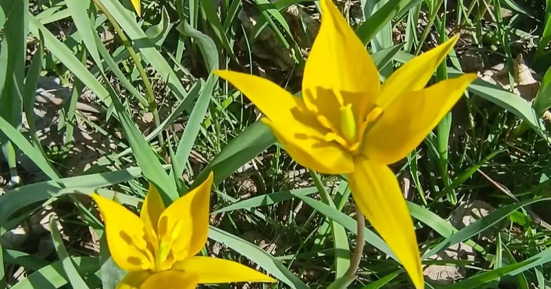 Прогноз погоды на 14 апреля: ночные морозы ожидаются на севере страны, на юге днём до +30