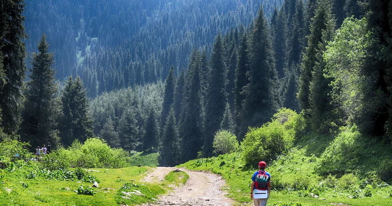 А сам не плошай