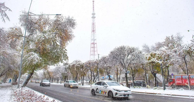 Қар жауып, аяз жүреді ауа райы болжамы