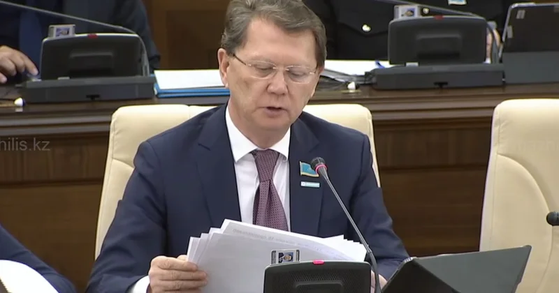 Депутат: Солтүстік Аралды сақтау жобасын жеделдету қажет