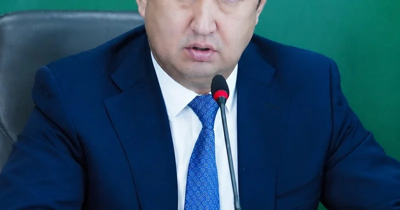Исконная отрасль драйвер подъема